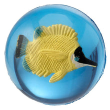 3D Tropical Fish Rubber Bouncy Ball