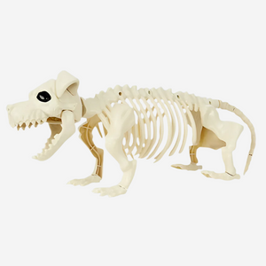 Dog Skeleton Prop