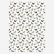 Birdsong Cream Birds 3M Wrapping Paper Roll