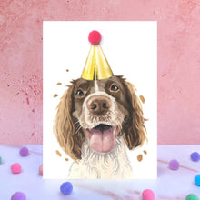 Springer Spaniel Pompom Birthday Card