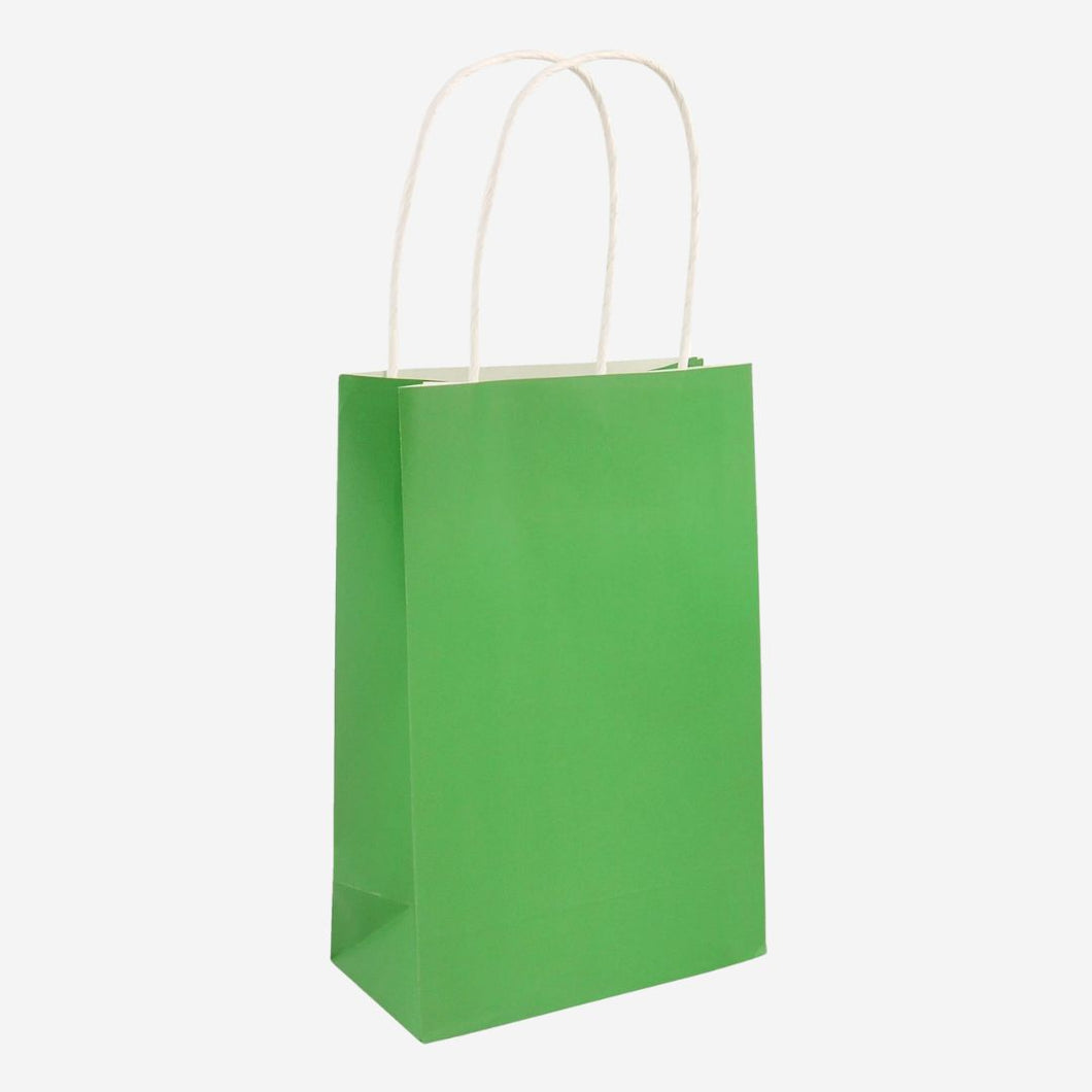 Eco-Friendly Green Paper Party Bag