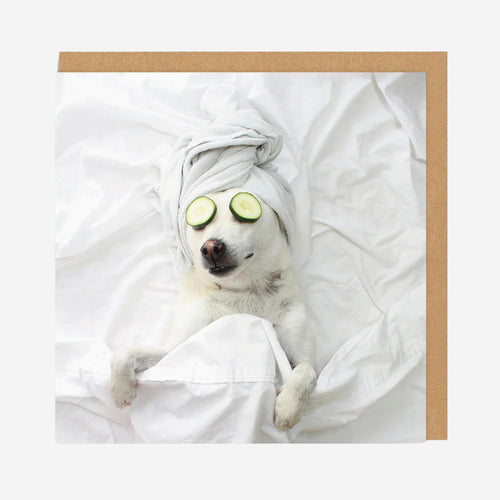 Pampered Pooch Square Greeting Card