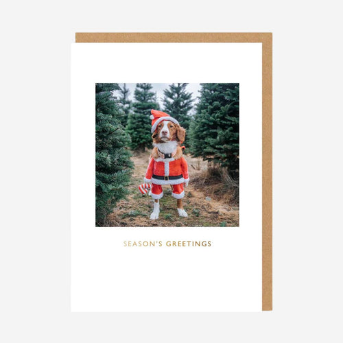 Maple Santa Greeting Card